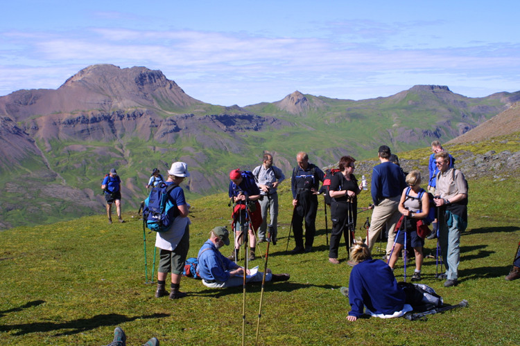 Súluskarð